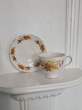vintage Queen Anne fine bone china tea cup and saucer set, England